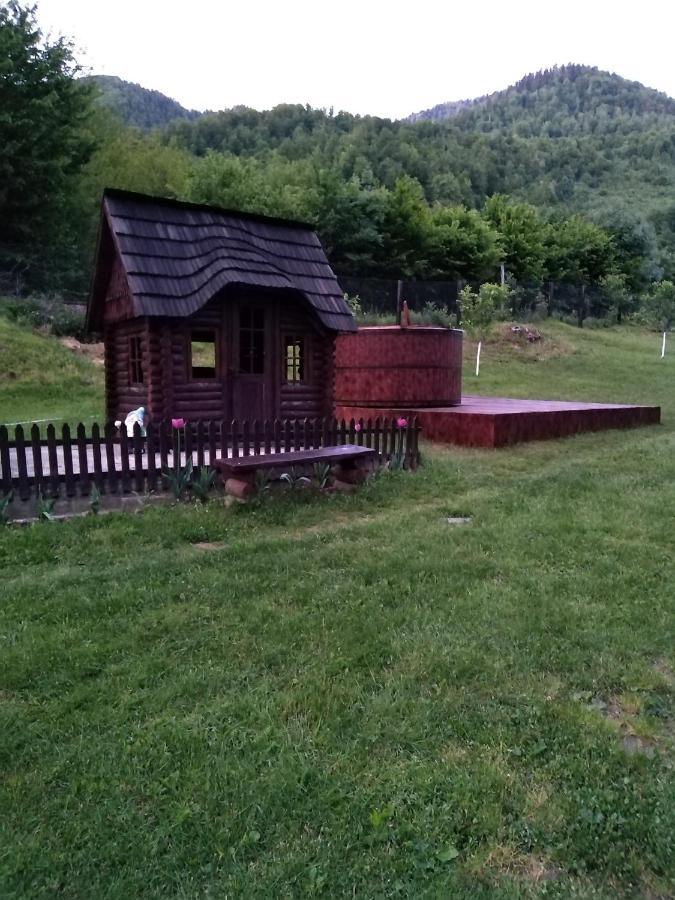 Pensiunea Roxana Valea Viseului Εξωτερικό φωτογραφία